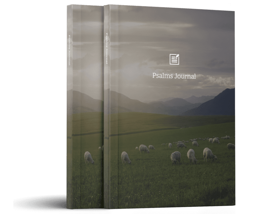 A preview of 2 Psalms Journal Workbooks standing vertically